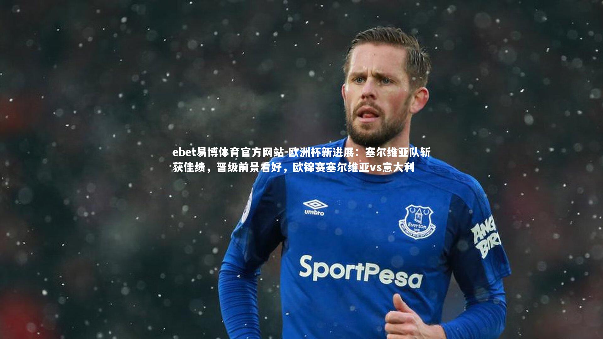 欧洲杯新进展：塞尔维亚队斩获佳绩，晋级前景看好，欧锦赛塞尔维亚vs意大利