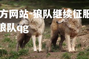 ebet易博体育官方网站-狼队继续征服对手，攻守兼备，追赶前四名，狼队qg