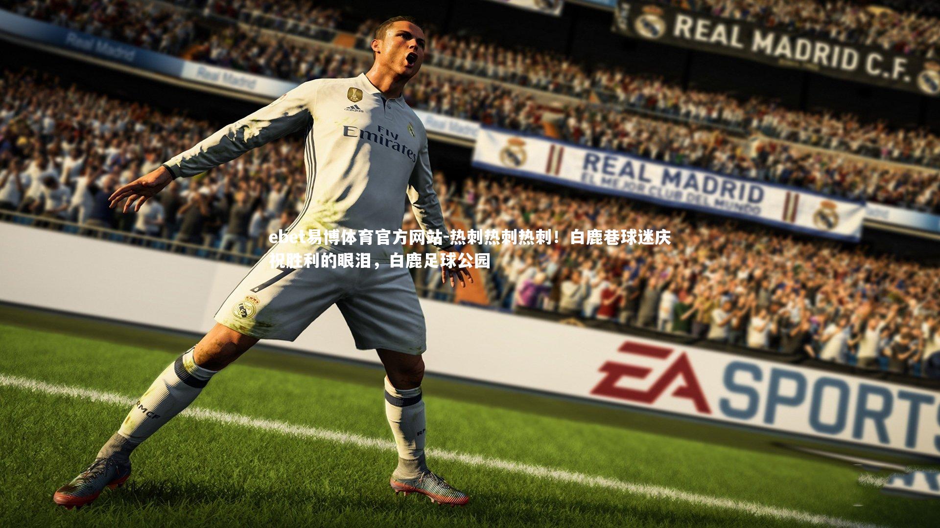 热刺热刺热刺！白鹿巷球迷庆祝胜利的眼泪，白鹿足球公园