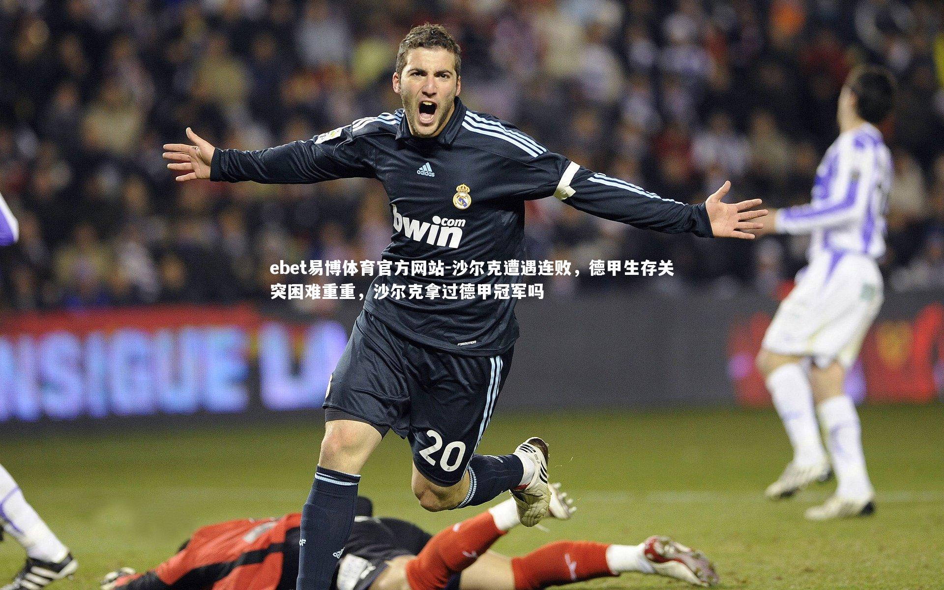 沙尔克遭遇连败，德甲生存关突困难重重，沙尔克拿过德甲冠军吗